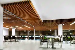 Acoustic Ceiling Solutions