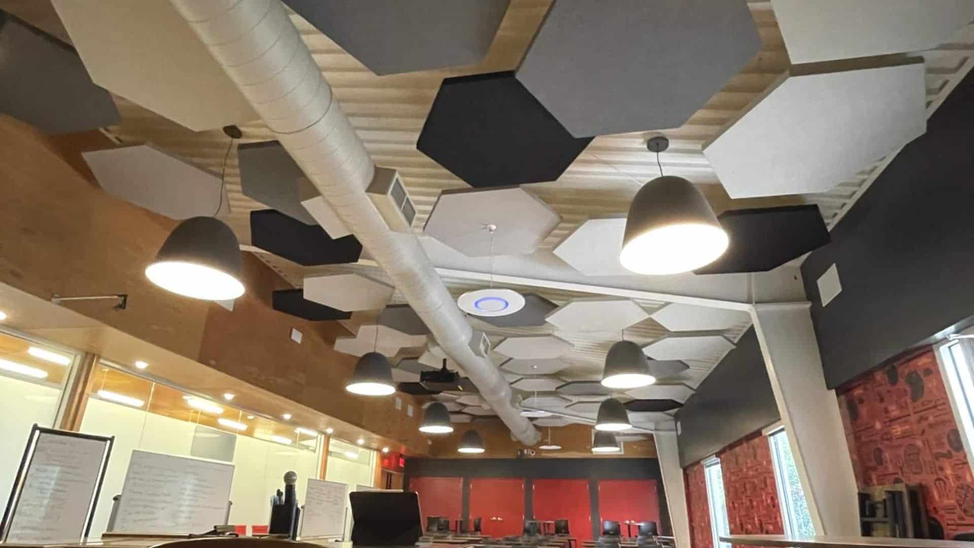 Do Acoustic Baffles Clouds Really Make a Difference in Your Environment